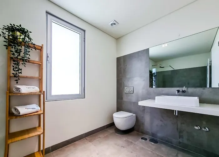 Flh Duplex With Terrace & Pool